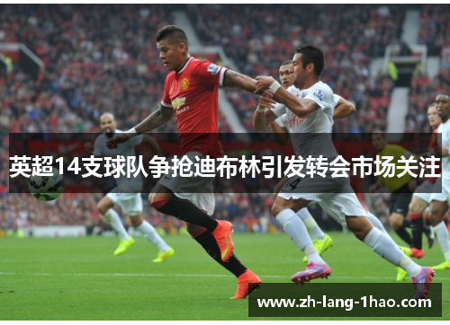 英超14支球队争抢迪布林引发转会市场关注
