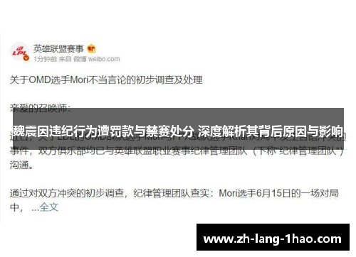 魏震因违纪行为遭罚款与禁赛处分 深度解析其背后原因与影响
